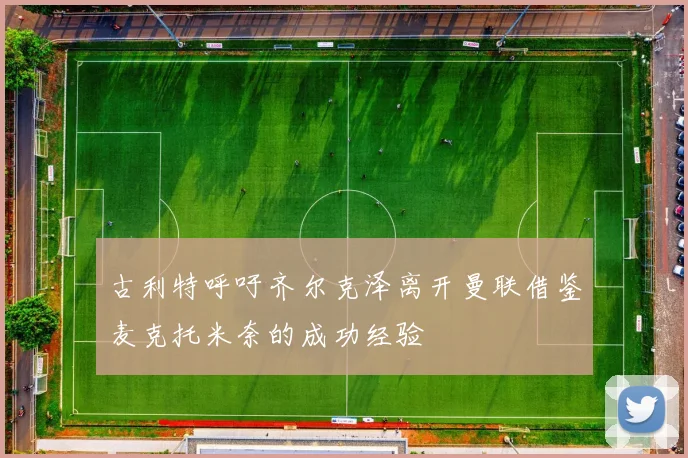 古利特呼吁齐尔克泽离开曼联借鉴麦克托米奈的成功经验