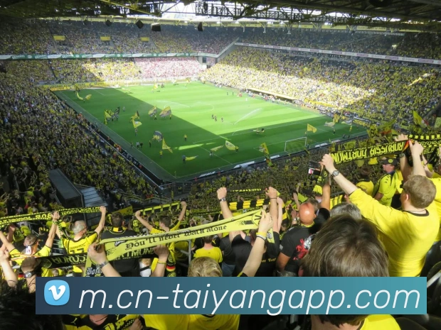 多媒体互动体验